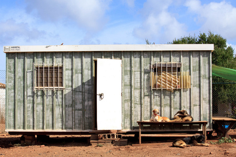 Bamboo Animal Shelter Algarve