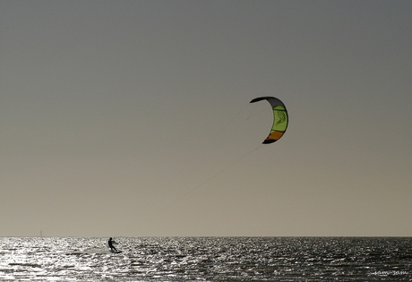 Kite