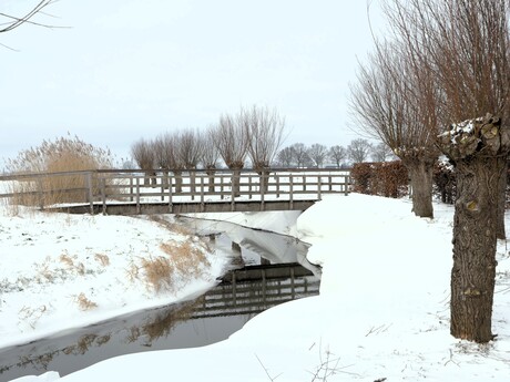 Winterlandschap