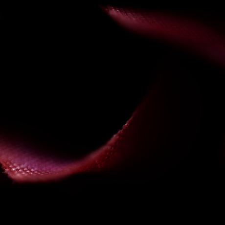 AbStracT 09