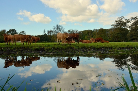 Spiegeltje