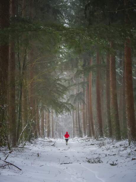 Winterwandeling