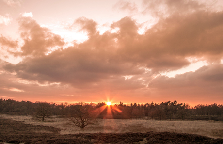 Sunset Drentse AA