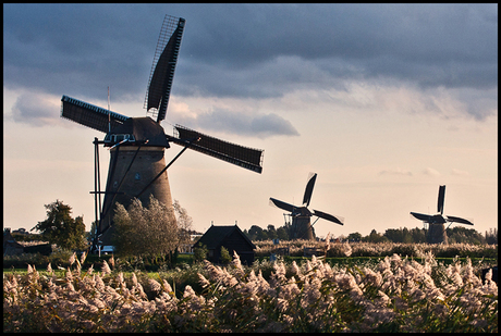 molen