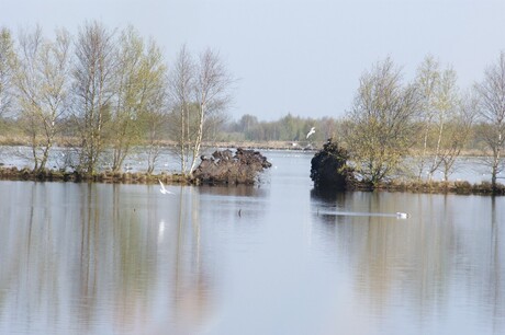 natuur water