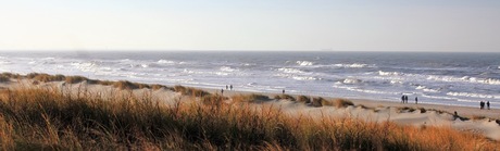 Duinen, strand en zee