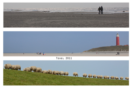 Texel 2011