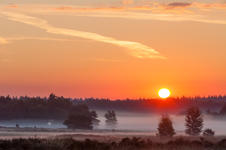 Zonsopkomst