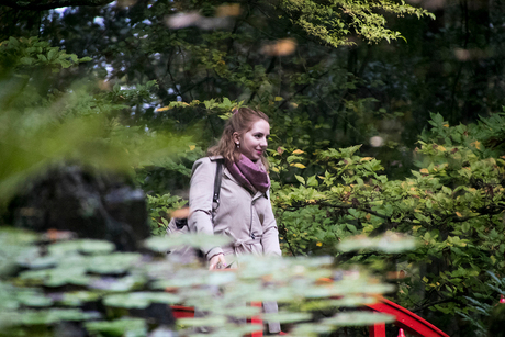 Reflectie in de vijver van de Japanse Tuin