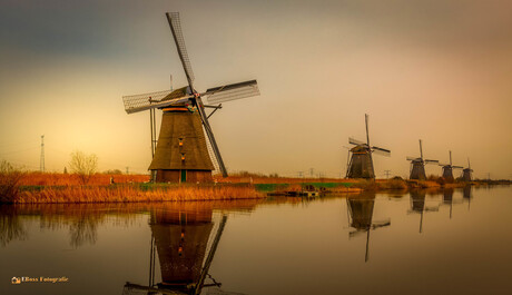 Kinderdijk 2017