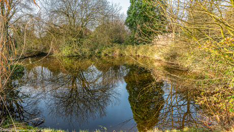 Mooie reflecties in de vijver