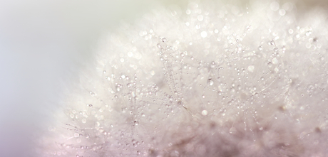 Shine like a diamond