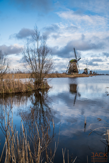 Waterrijk kinderdijk