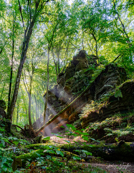 Zonneharpen in Luxemburg 