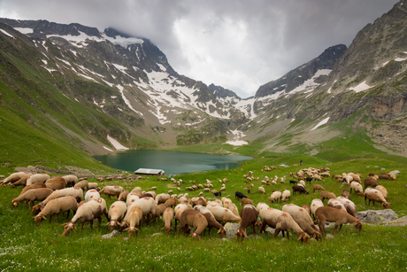 Lac de la Muzelle