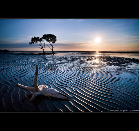 Sunlit Ripples