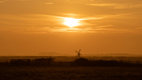 Zonsopkomst molentje