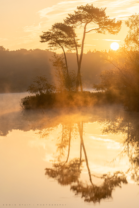 Zonsopkomst Oisterwijkse vennen