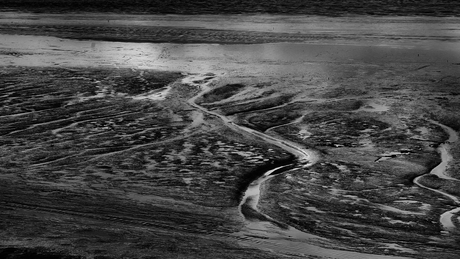 Wadden bij Lauwersoog