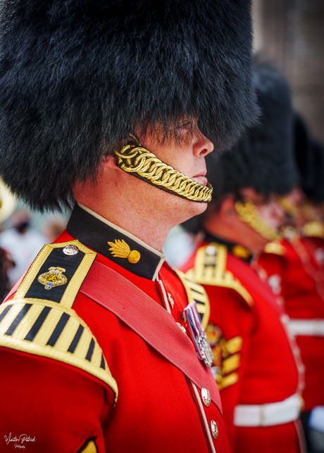 Bevrijdingsparade Antwerpen