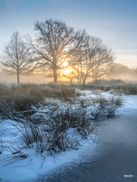 Koude zonsopkomst