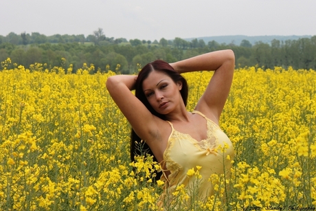Aria Giovanni - Yellow Flowers France
