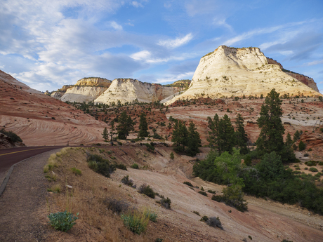 Checkerboard Mesa, Zion