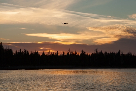 Porcher Island Canada