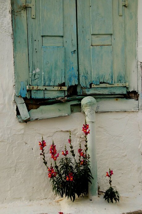 Greece still life