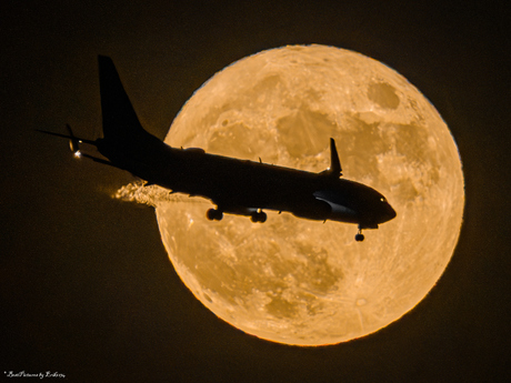 Ready to land