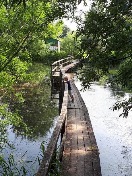 Ridderkerk de gorzen