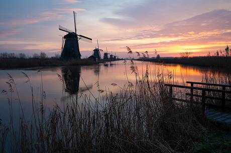 Kinderdijk waking up