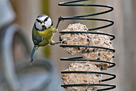 Wat ben jij aan het doen.
