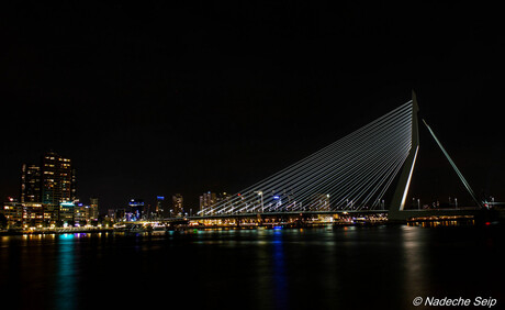 Erasmusbrug Rotterdam