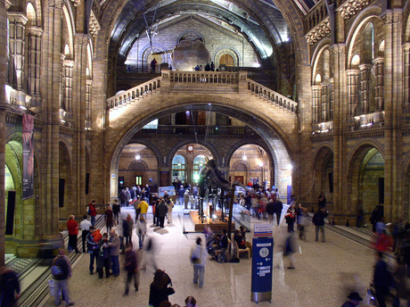 Natural History Museum