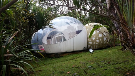 The bubble lodge