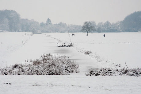 Winterlandschap