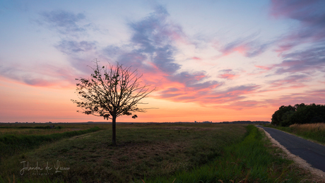 Magic sunset 