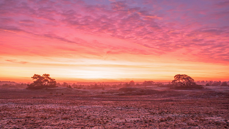 zonsopkomst