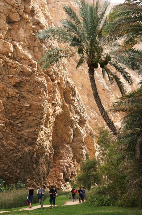 Wadi Shab