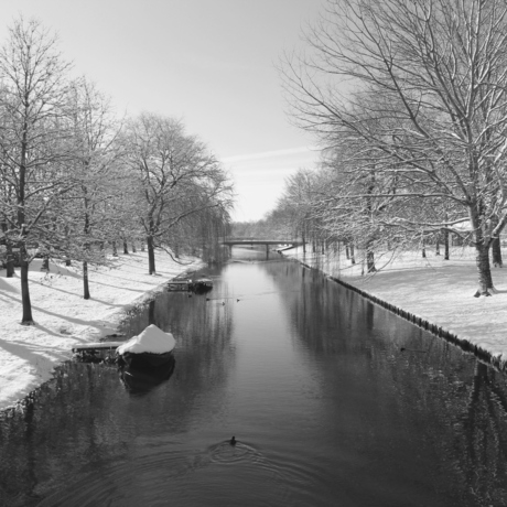 20130210_Winter in Almere_(10-bew).jpg