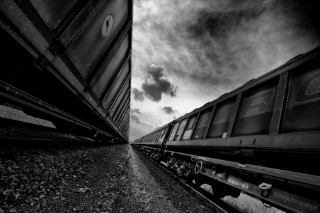 wagons b/w