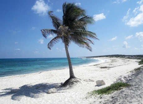 Paradise in Mexico