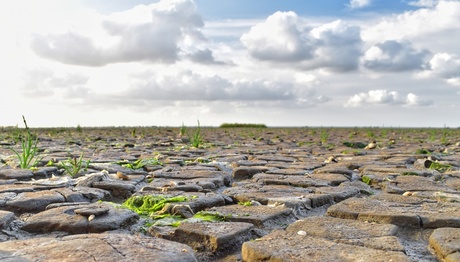 B5F50A90-10A1-4756-BCA3-37FDF610AB02