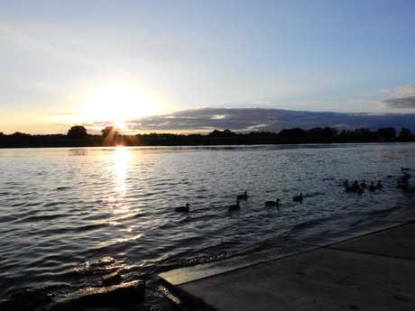 zonsondergang aan de maas in Arcen