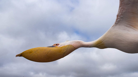 Tijd om opnieuw rond te kijken