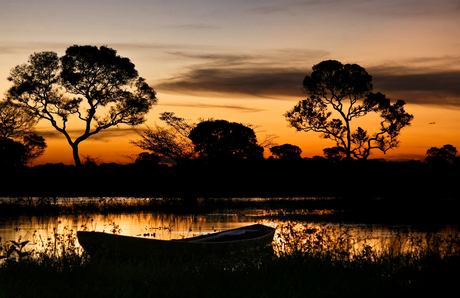 Pantanal sunset