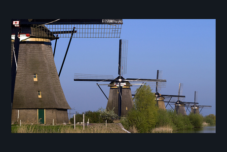 Lente in de Kinderdijk