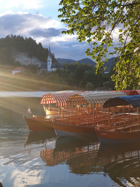 Het meer van Bled, Slovenië.