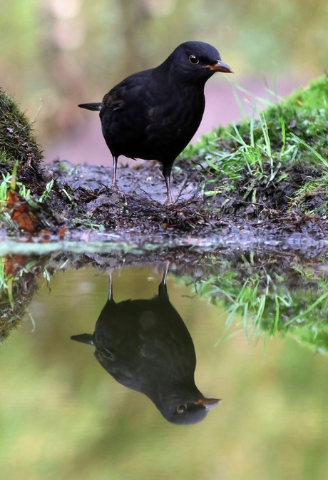 Even in de spiegel kijken